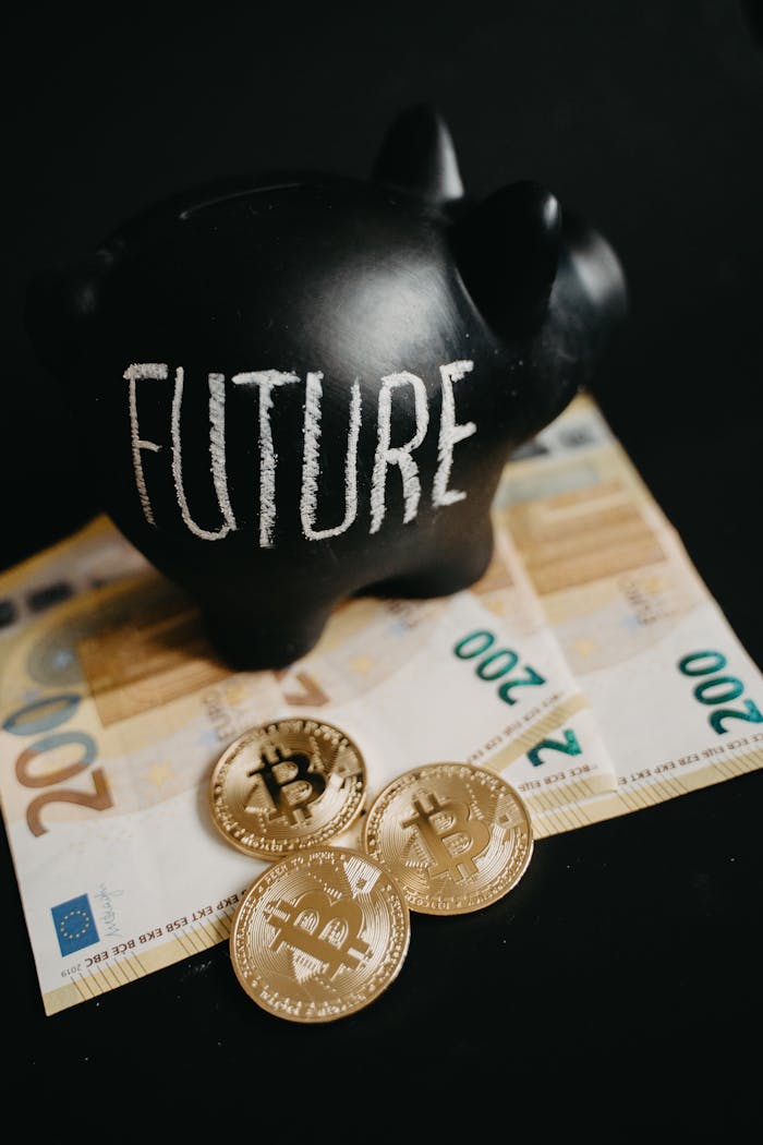 our-services-2 Black piggy bank labeled 'Future' with 200 euro bills and Bitcoin coins, symbolizing modern savings.